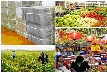 Nghị quyết phiên họp Chính phủ thường kỳ tháng 11